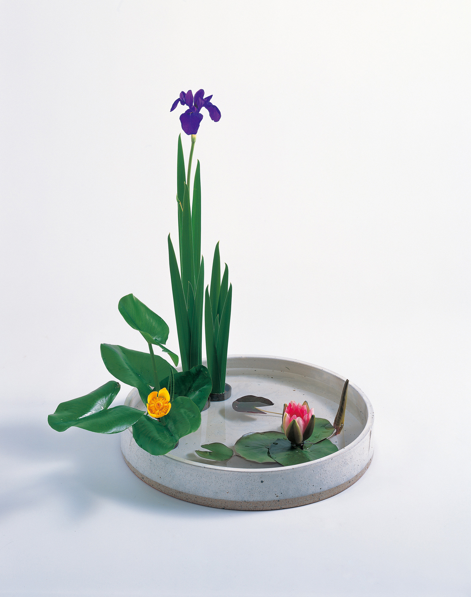 활동 사진 여름2